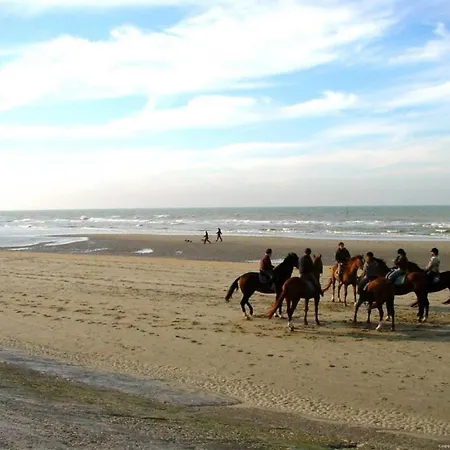 Apartament In Near The