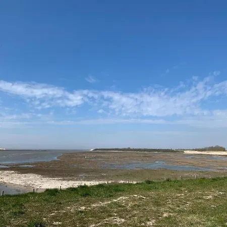 In Near The 公寓 布兰肯贝赫