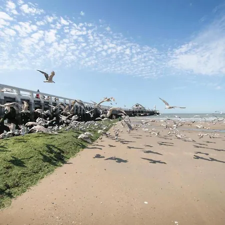 Apartament In Near The